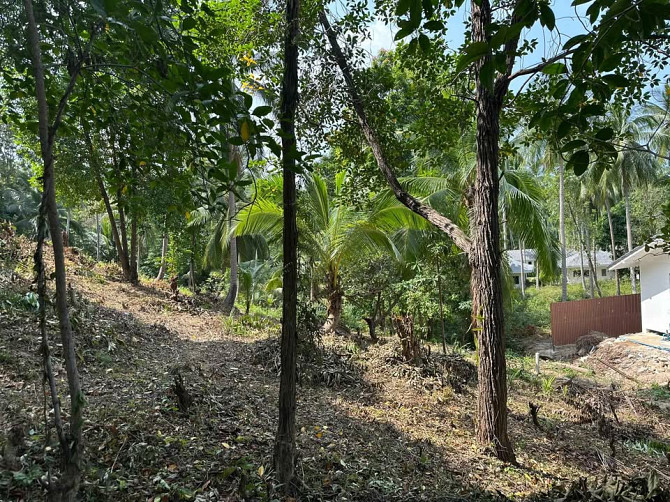 Land for Sale in Chalok Lam, Koh Phangan Phangan - photo 9
