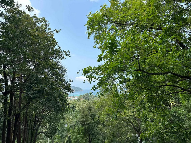 Land for Sale in Chalok Lam, Koh Phangan Phangan - photo 5