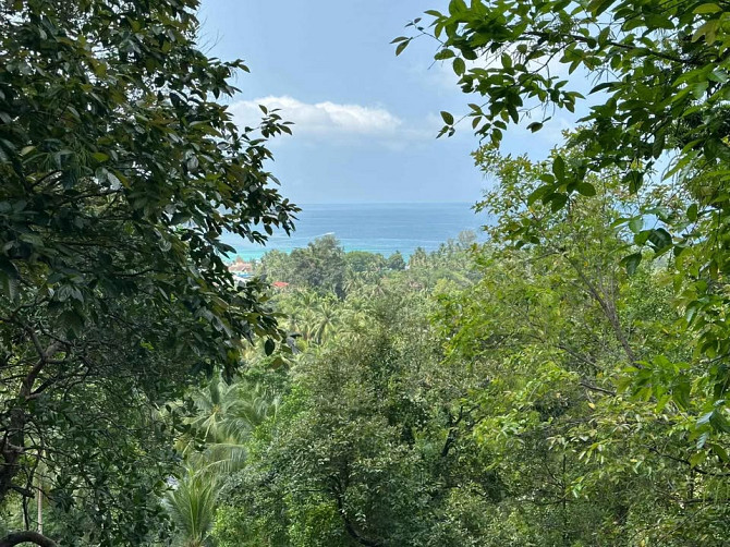 Land for Sale in Chalok Lam, Koh Phangan Phangan - photo 3
