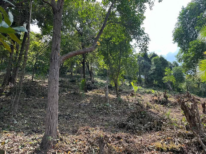Land for Sale in Chalok Lam, Koh Phangan Phangan - photo 12