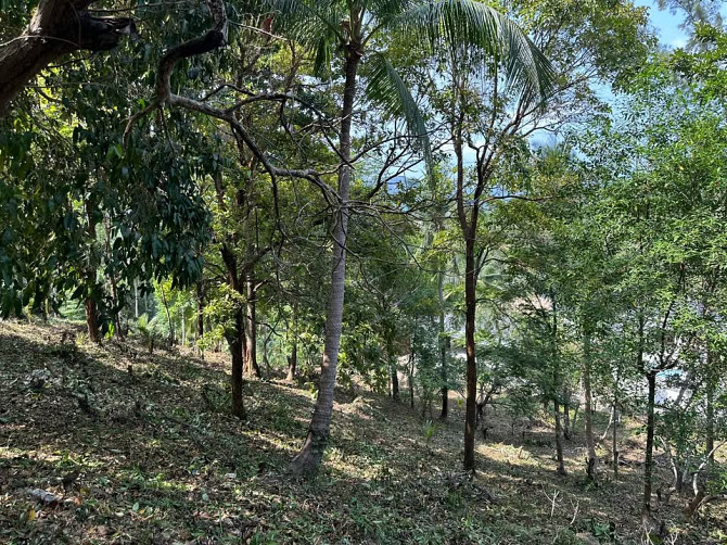 Land for Sale in Chalok Lam, Koh Phangan Phangan - photo 10