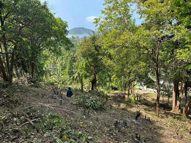 Land for Sale in Chalok Lam, Koh Phangan Phangan - photo 7