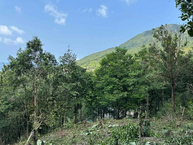 Land for Sale in Chalok Lam, Koh Phangan Phangan - photo 2