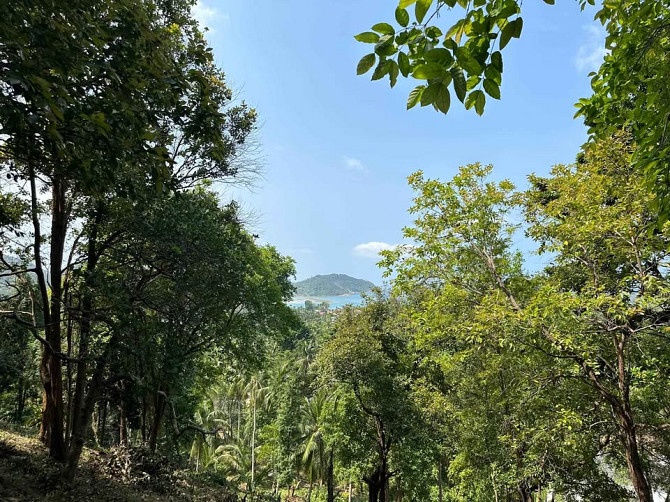 Land for Sale in Chalok Lam, Koh Phangan Phangan - photo 11