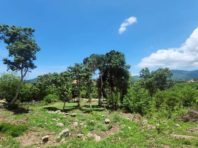 2 Rai Mountain View Land for Sale in Namueng Samui - photo 5