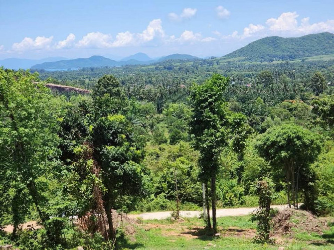 2 Rai Mountain View Land for Sale in Namueng Samui - photo 10