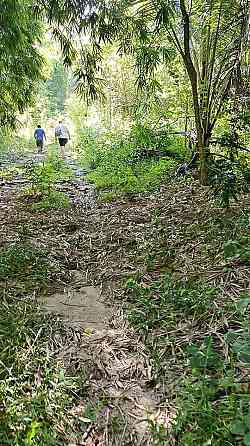 16 Rai Land for Sale in Chalok Lam, Koh Phangan Phangan