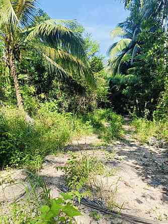 16 Rai Land for Sale in Chalok Lam, Koh Phangan Phangan
