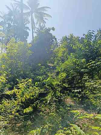 16 Rai Land for Sale in Chalok Lam, Koh Phangan Phangan