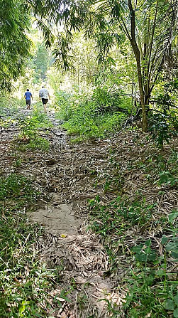 16 Rai Land for Sale in Chalok Lam, Koh Phangan Phangan - photo 1