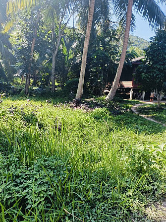 16 Rai Land for Sale in Chalok Lam, Koh Phangan Phangan - photo 5