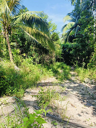 16 Rai Land for Sale in Chalok Lam, Koh Phangan Phangan - photo 4