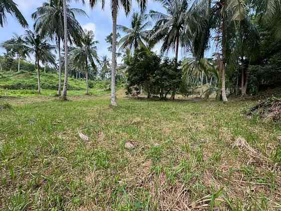 3 Rai Land for Sale Phangan