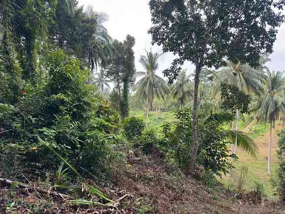 3 Rai Land for Sale Phangan