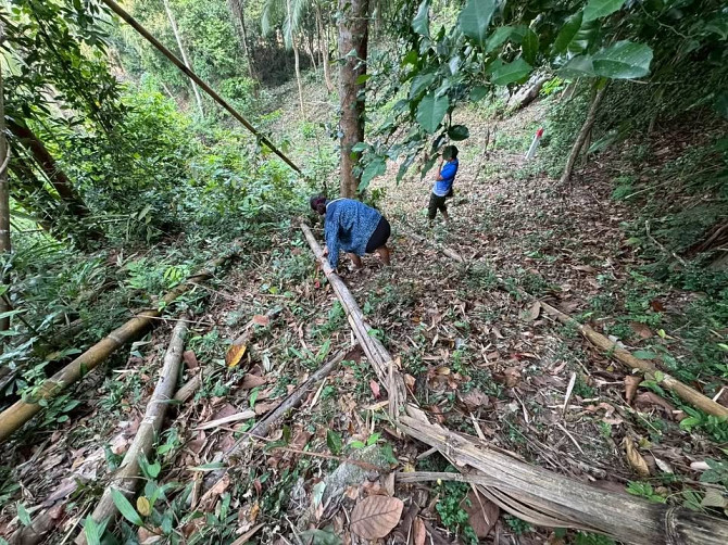 3 Rai Land for Sale Phangan - photo 5