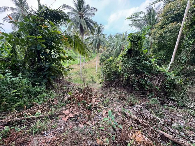 3 Rai Land for Sale Phangan - photo 2