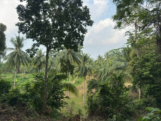 3 Rai Land for Sale Phangan - photo 7