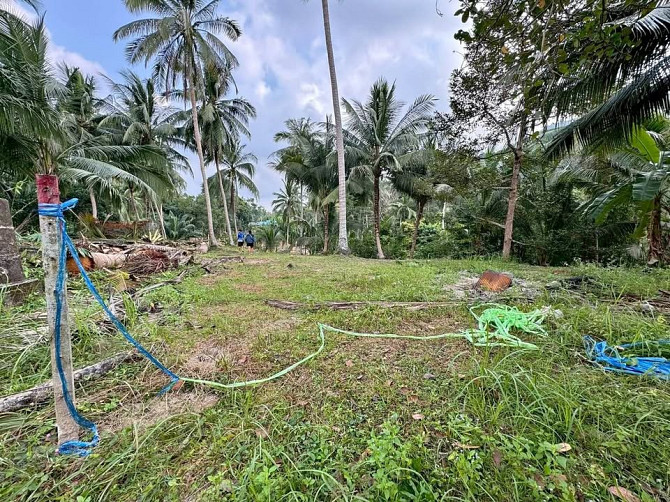 3 Rai Land for Sale Phangan - photo 1