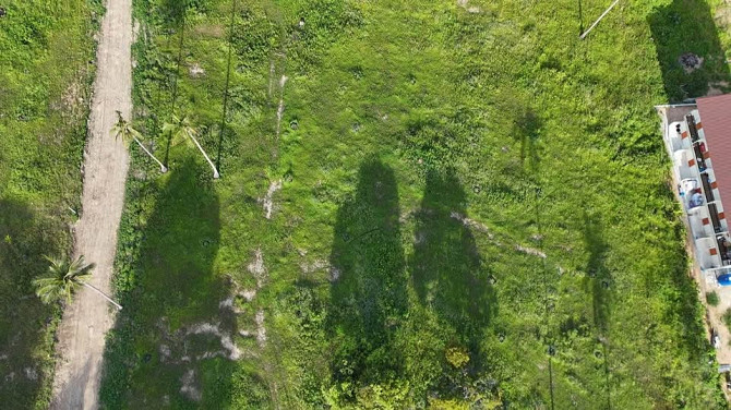 2 Rai Mountain View Land for Sale in Maenam Samui - photo 4