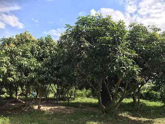 2 Bedroom House with Land for Sale in Chonburi Pattaya