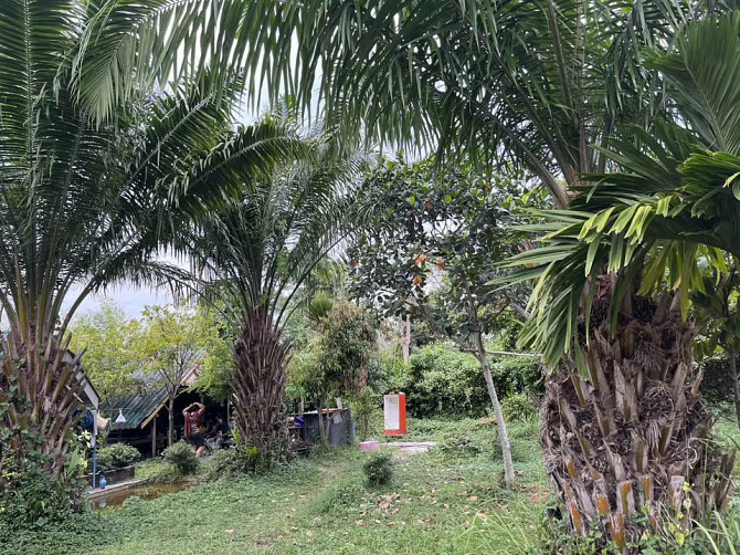 2 Bedroom House with Land for Sale in Chonburi Pattaya - photo 5