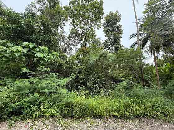4662 sqm Land for Sale, Koh Samui Samui