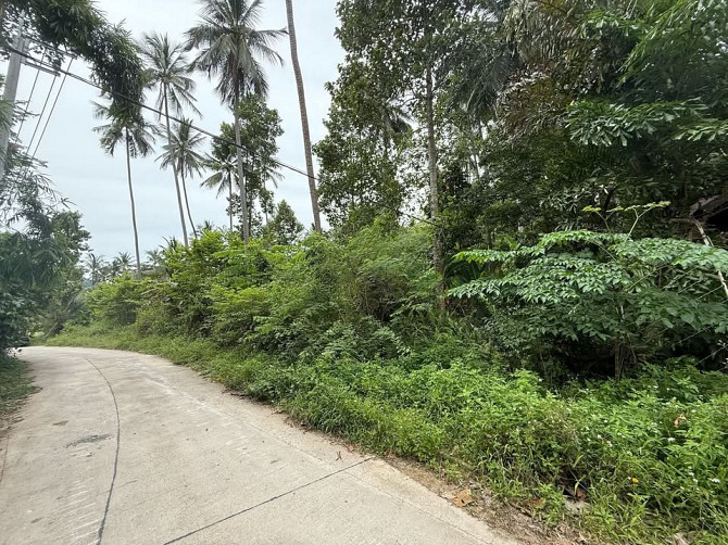 4662 sqm Land for Sale, Koh Samui Samui - photo 11