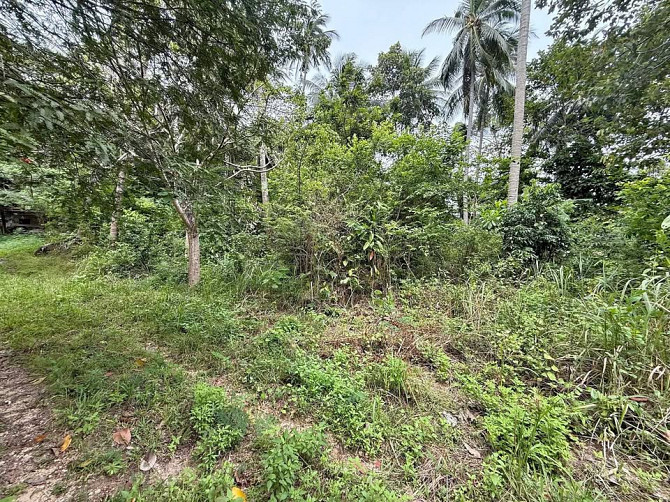 4662 sqm Land for Sale, Koh Samui Samui - photo 1