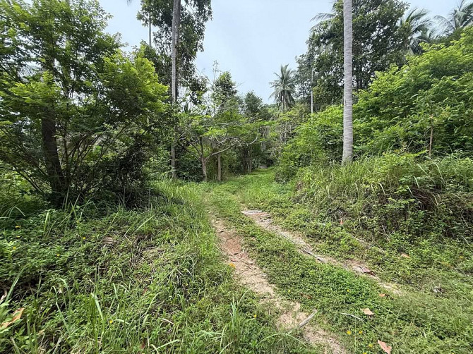 4662 sqm Land for Sale, Koh Samui Samui - photo 3