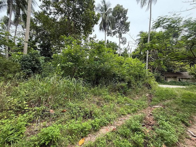 4662 sqm Land for Sale, Koh Samui Samui - photo 6