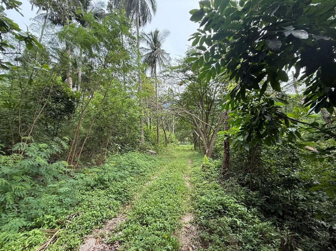 4662 sqm Land for Sale, Koh Samui Samui - photo 9