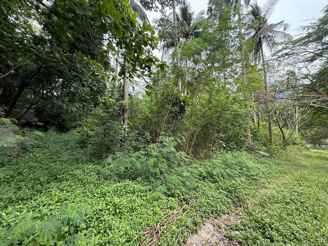 4662 sqm Land for Sale, Koh Samui Samui - photo 10