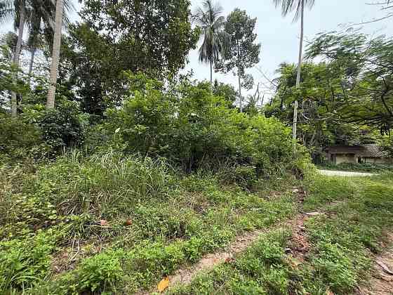 4662 sqm Development Land for Sale in Lamai Samui