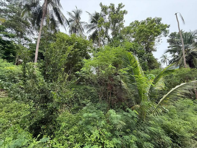 4662 sqm Development Land for Sale in Lamai Samui - photo 8