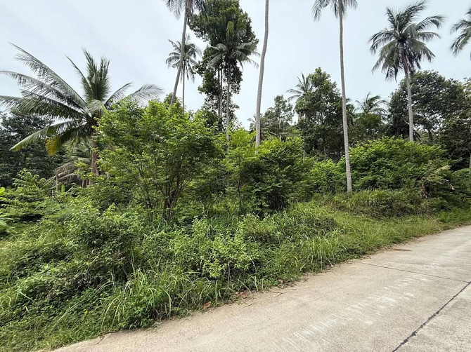 4662 sqm Development Land for Sale in Lamai Samui - photo 13