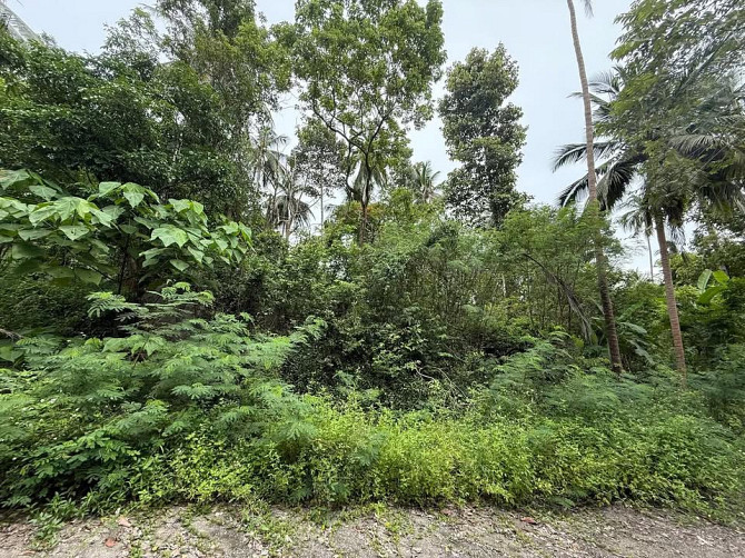 4662 sqm Development Land for Sale in Lamai Samui - photo 5