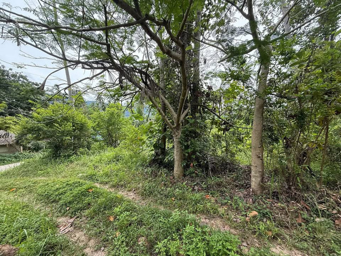 4662 sqm Development Land for Sale in Lamai Samui - photo 14