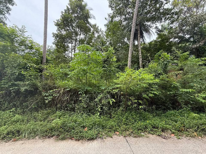 4662 sqm Development Land for Sale in Lamai Samui - photo 12