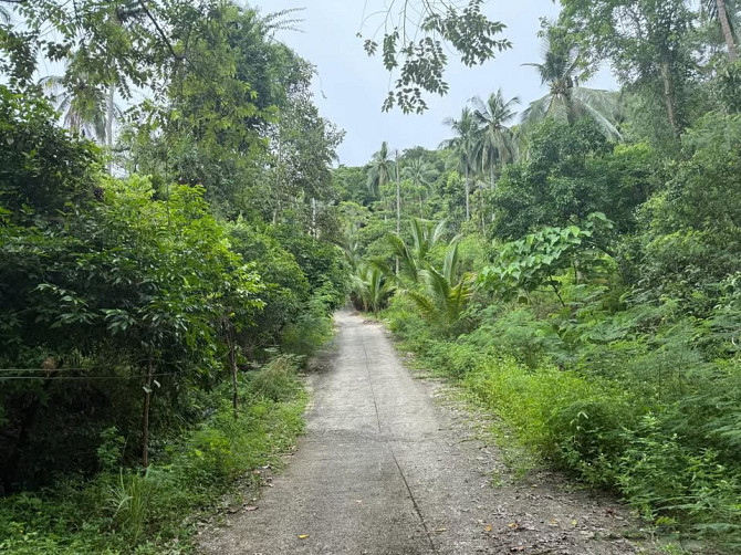 4662 sqm Development Land for Sale in Lamai Samui - photo 2