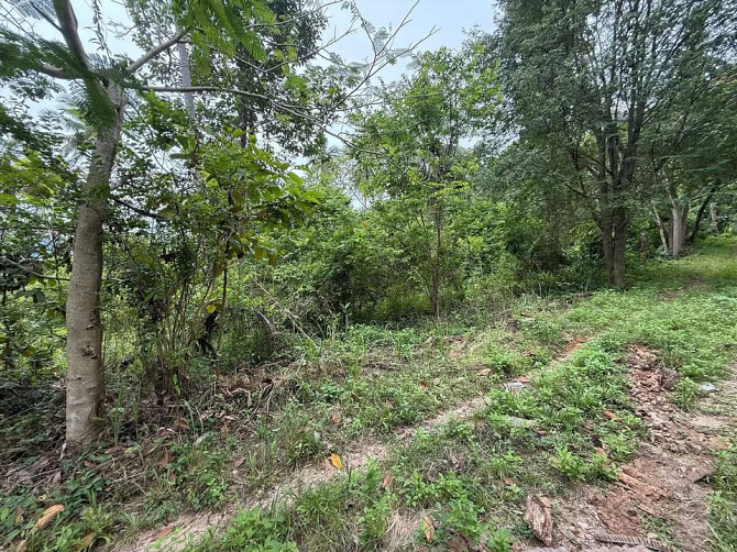4662 sqm Development Land for Sale in Lamai Samui - photo 4