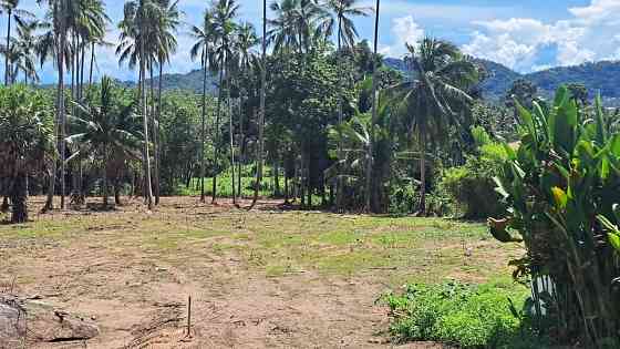 6840 sqm Sea View Land for Sale in Lamai Samui