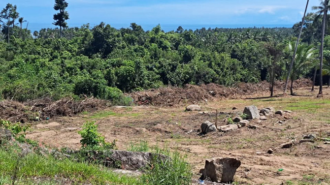 6840 sqm Sea View Land for Sale in Lamai Samui - photo 3