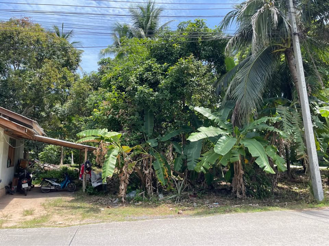 1068 Sqm Land for Sale in Thong Krut Samui - photo 2