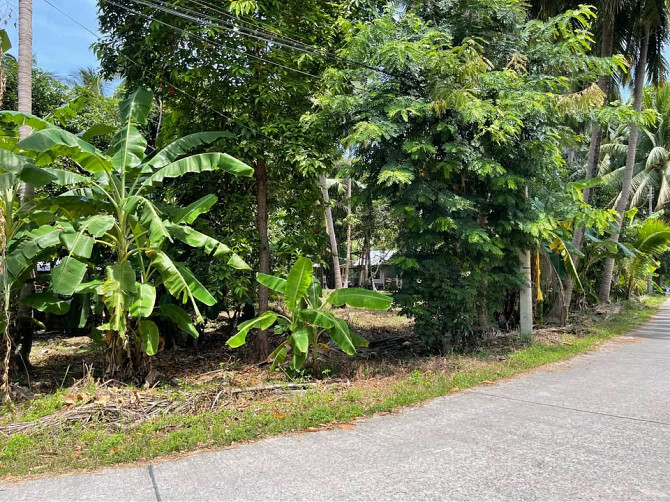 1068 Sqm Land for Sale in Thong Krut Samui - photo 4