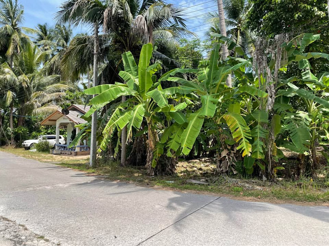 1068 Sqm Land for Sale in Thong Krut Samui - photo 3