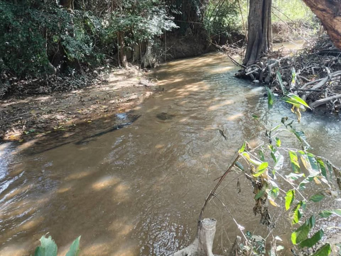 508 sqm Land for Sale in Hua Thanon Samui - photo 5