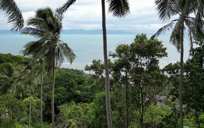 Prime Land for Sale in Ban Kai Area Phangan - photo 4