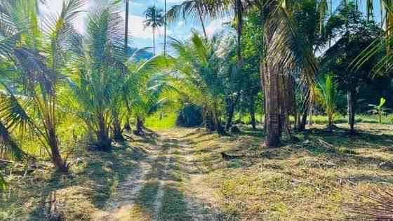2 Rai of Flat Land for Sale in Maenam Samui
