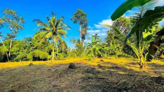 2 Rai of Flat Land for Sale in Maenam Samui - photo 3