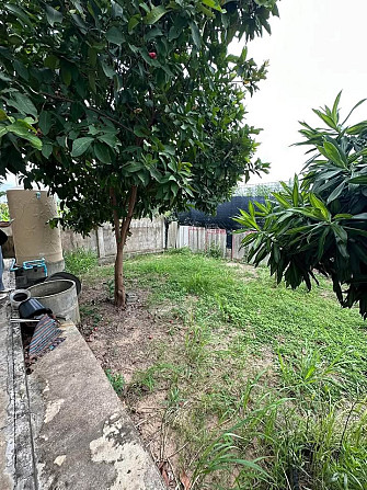 2 House Property for Sale in Pong 1 Pattaya - photo 12
